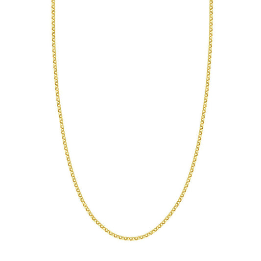 14K Yellow Gold 2.50mm Rolo Chain - Susan Blake Jewelry